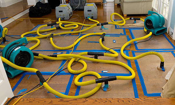 Professional Burst Pipe Water Damage technician working in New Knoxville, OH